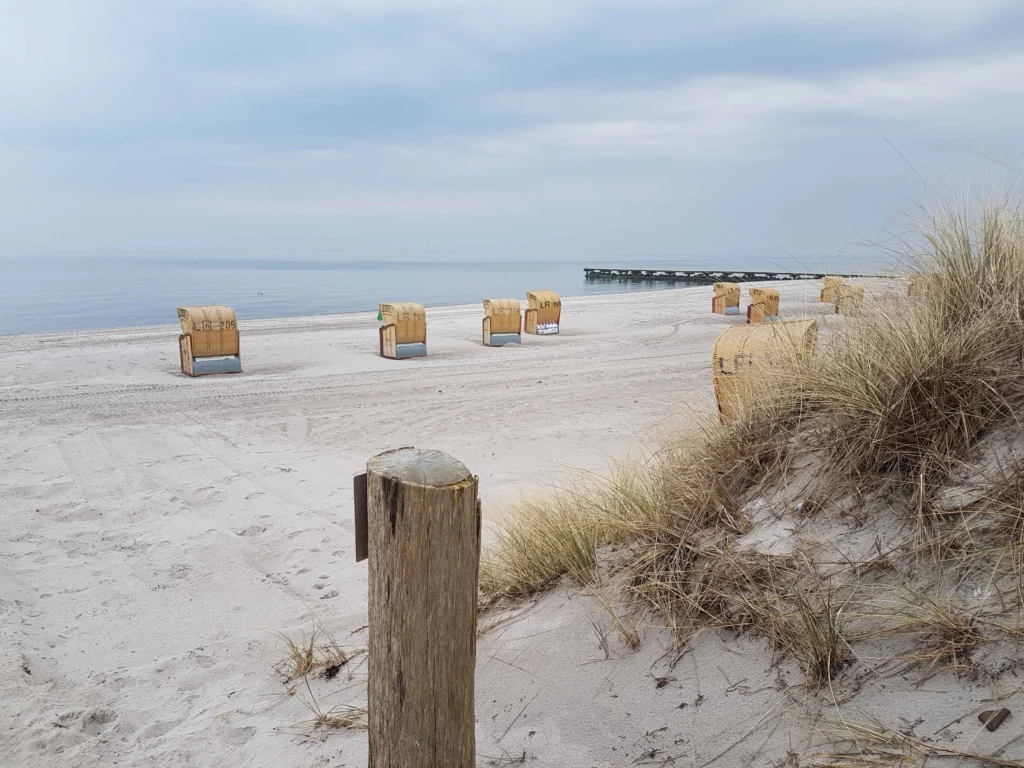 Strandkorb Coaching mitten im Meer, Energiebehandlung, Lebensberatung für Mensch & Tier